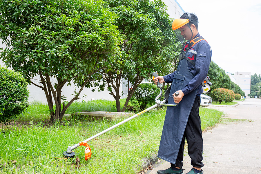Uma ferramenta, tarefas infinitas: por que o aparador multifuncional é a única ferramenta de jardim que você precisa